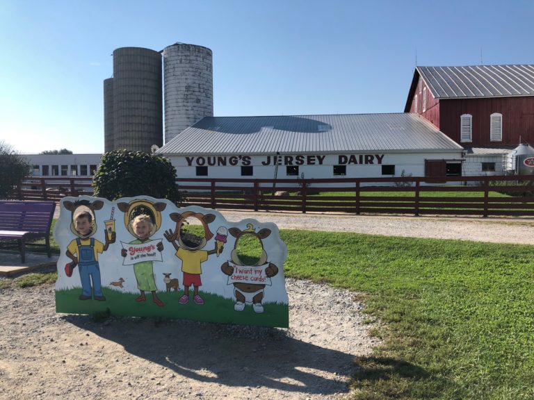 Young’s Jersey Dairy Southwest Ohio Parent Magazine