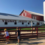 Young’s Jersey Dairy