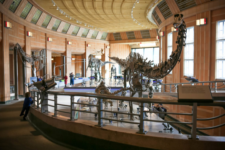 CMC Dinosaur Hall