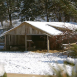 Crib of the Nativity