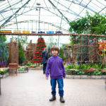 Krohn Conservatory A Crystal Holiday 11