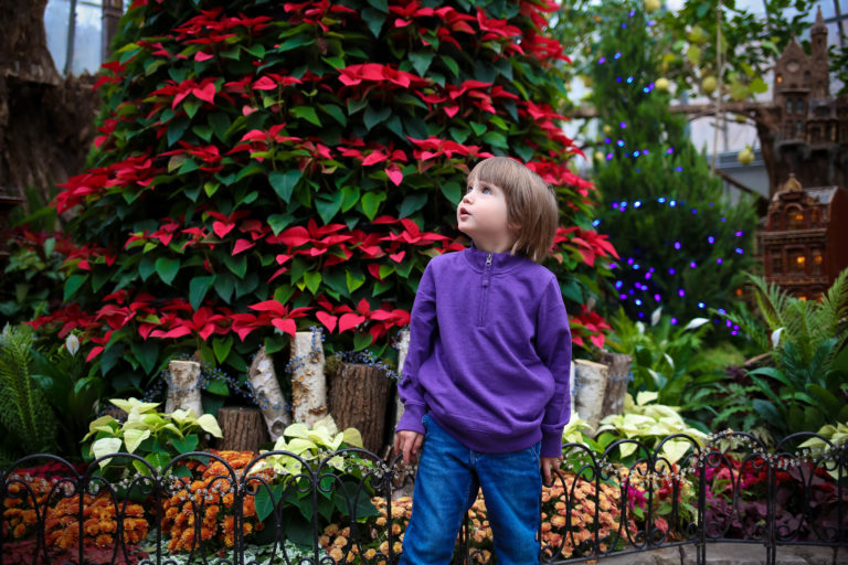 20 Things to do on Christmas Eve and Christmas Day in Cincinnati