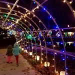 Woodland Lights