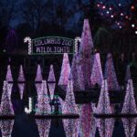 wildlights 1