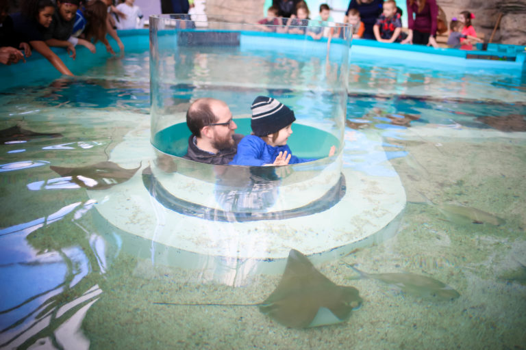 Favorite kid-friendly attractions at Newport Aquarium Kids get in FREE during Winter Family Days!