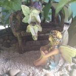 fairy-garden-picture-1