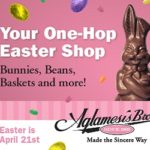 Algamesis CP Big Box.480