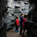 CMC Cave 9