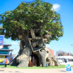 Children’s Museum of Indianapolis 11