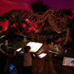 Children’s Museum of Indianapolis 8