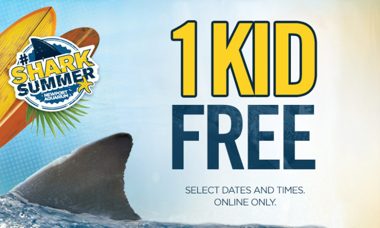 Celebrate #SharkSummer at Newport Aquarium One kid free with full-priced adult ticket, and new baby shark on exhibit