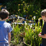 Columbus – Franklin Conservatory 8