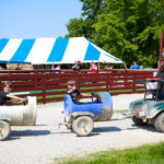 Young’s Jersey Dairy 26