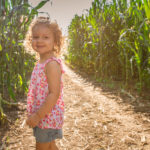 Young’s Dairy Corn Maze