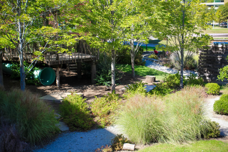 5 Epic Playscapes in Cincinnati 5 Epic Playscapes in Cincinnati