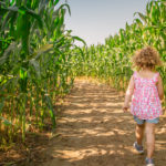 8 corn mazes in Cincinnati you must conquer this fall