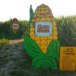 Brown’s Corn Maze