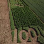 Burwinkel Farms Corn Maze