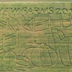 Shaw Farms Corn Maze