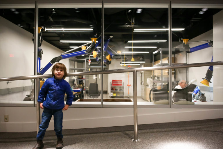 A 65-million-year-old triceratops skull is now being restored at CMC