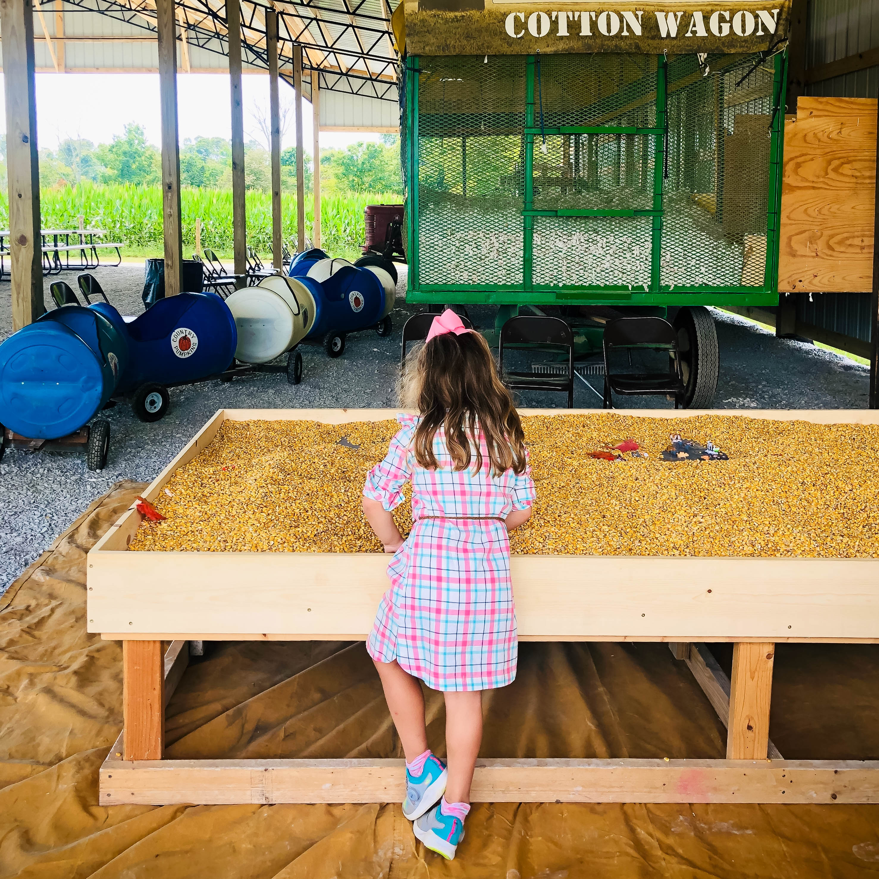 Start a new fall tradition at Country Pumpkins