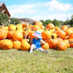 Fall on the Farm 2019 11