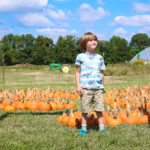 Fall on the Farm 2019 15