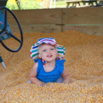 Fall on the Farm 2019 3