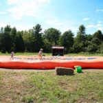10 reasons your family must visit Fall on the Farm at Blooms and Berries this year