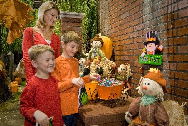 Visit Cincinnati's only indoor pumpkin patch this fall at Entertrainment Junction