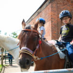 Nation Road Horse Rental