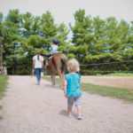 Nation Road Horse Rental 9