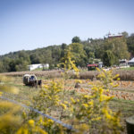 NeltnerFarm_04