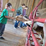 NeltnerFarm_05 edit