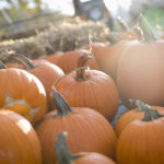 NeltnerFarm_14
