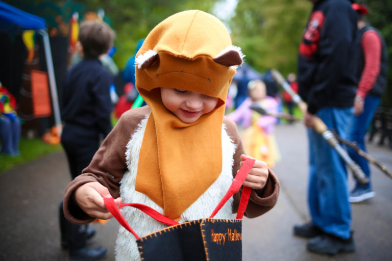 Family Friendly Halloween Hikes in Cincinnati