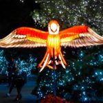 130977066_10158950073830479_4698475363241974641_n