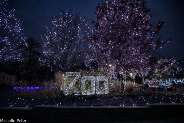 5 Insider Tips for Enjoying the Zoo’s Festival of Lights The PNC Festival of Lights runs nightly through Jan. 7, 2024