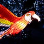 50592335436_922fe1a6db_b-300×200