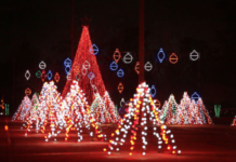 10 Best Spots to See Christmas Lights Around Town