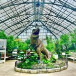krohn conservatory dinosaurs
