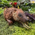 krohn conservatory dinosaurs