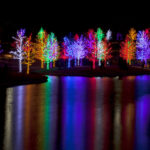 Trees tightly wrapped in LED lights for the Christmas holidays r