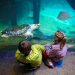 Columbus 2019 – Zoo 8