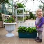 Bloom and Grow at Krohn Conservatory 3