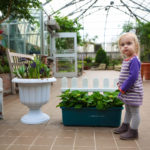 Bloom and Grow at Krohn Conservatory 4