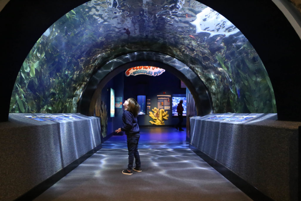 5 indoor attractions in Cincinnati that are surprisingly kid friendly ...