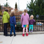 Liberty Center Trains 7