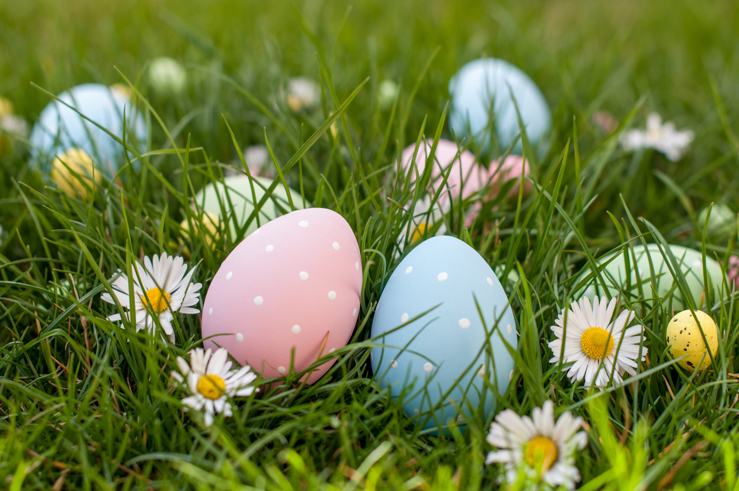 2023 Dayton Easter Egg Hunt Guide - Dayton Parent