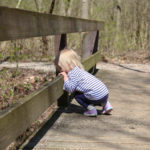 Johnson Nature Preserve 0